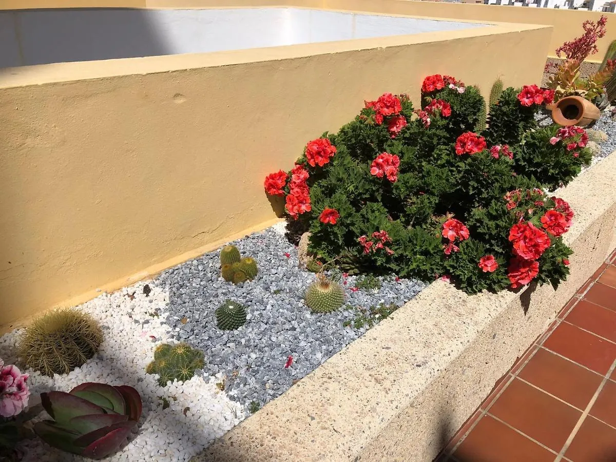 Apartamento Con Impresionantes Vistas Y Piscina أذيخي